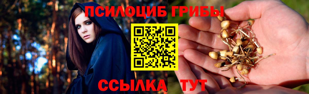 Псилоцибиновые грибы Psilocybine cubensis  Вход с VPN  Псилоцибиновые грибы мухоморы  Сорочинск 